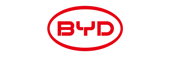 byd_589 byd_589