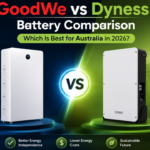 GoodWe vs Dyness Battery Comparison